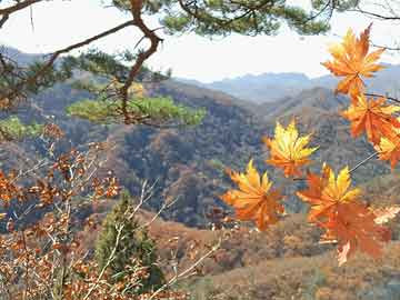 荒唐细节：杏吧直播