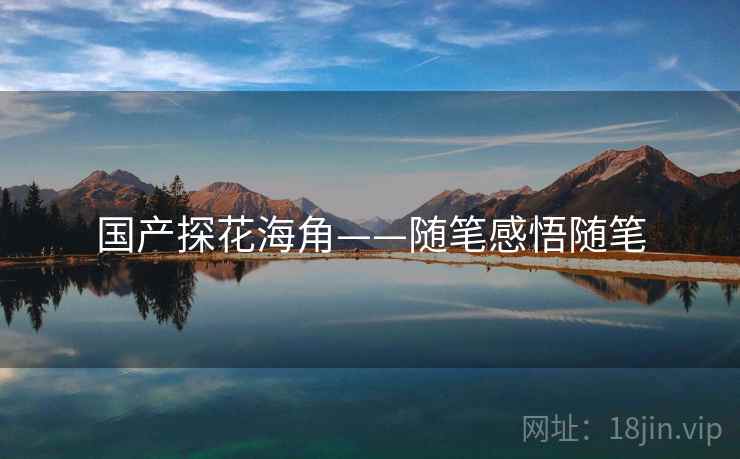 国产探花海角——随笔感悟随笔