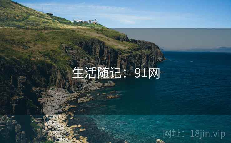 生活随记：91网