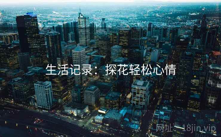生活记录：探花轻松心情