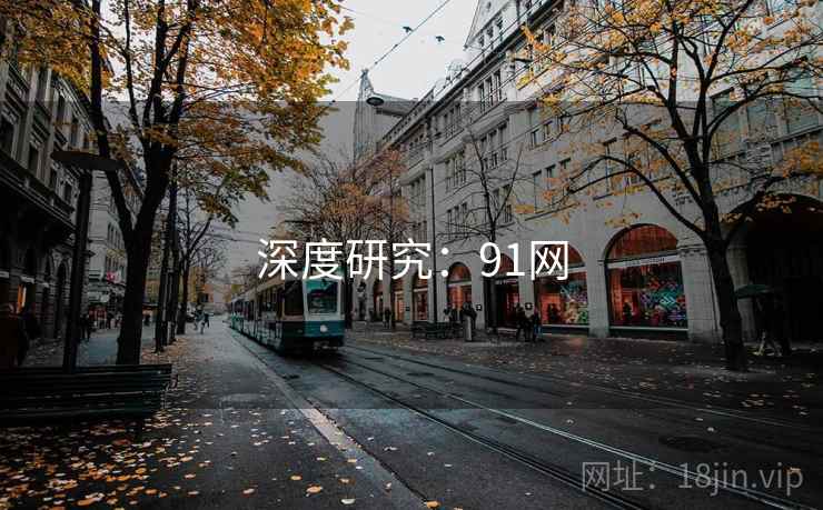 深度研究：91网