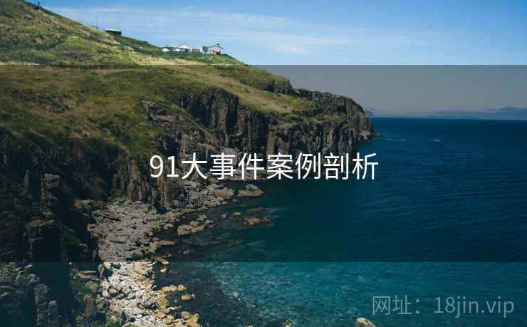 详细阅读:91大事件案例剖析 91大事件案例剖析